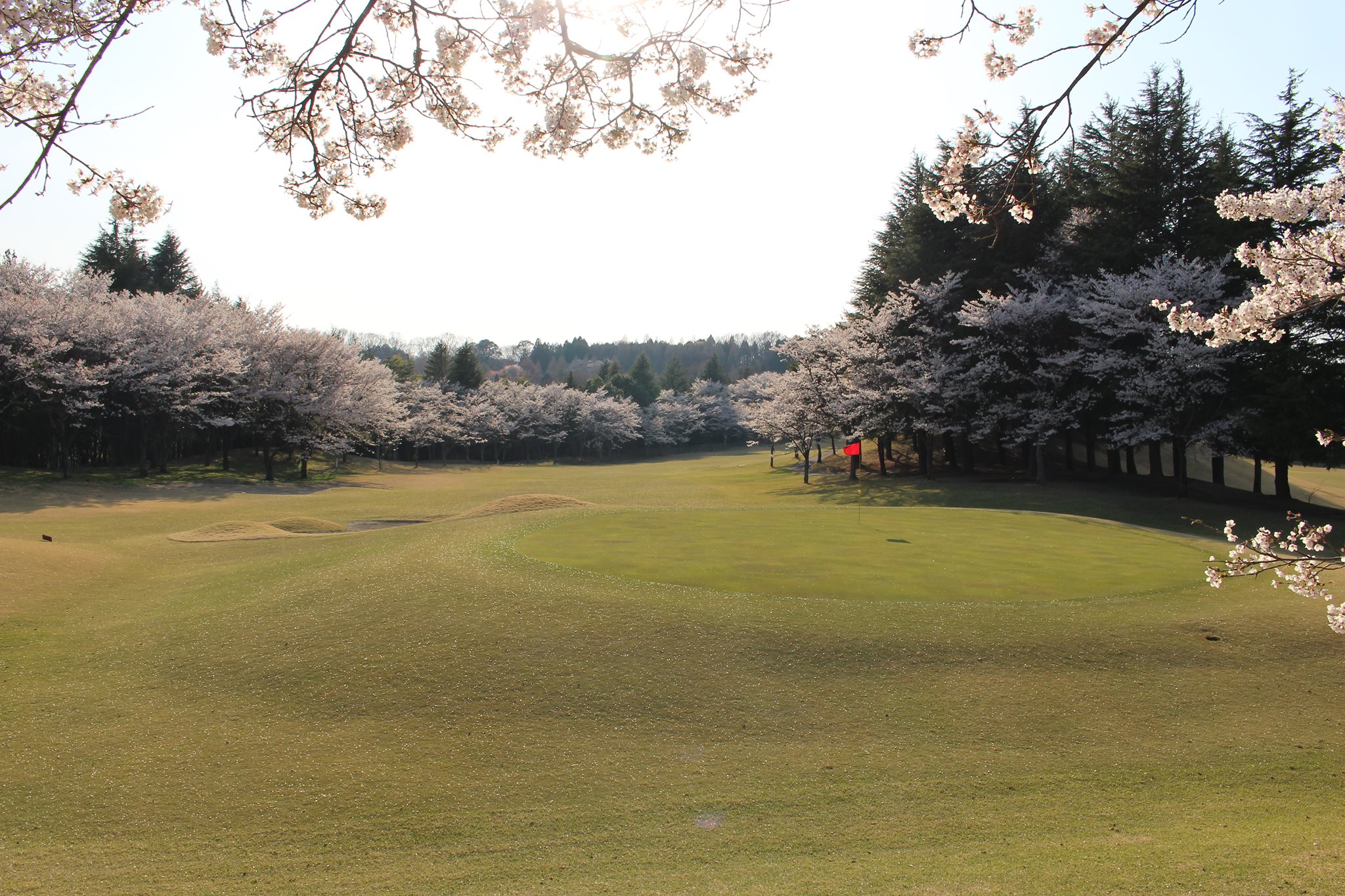 Murasakizuka G.C. Golf in Japan