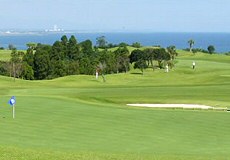 Tea Time enquiry: Aoshima Golf Club