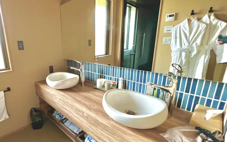 Dual Sink