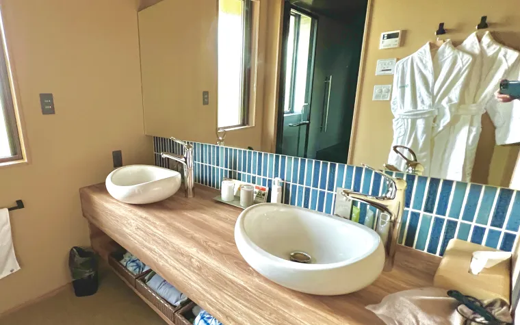 Dual Sink