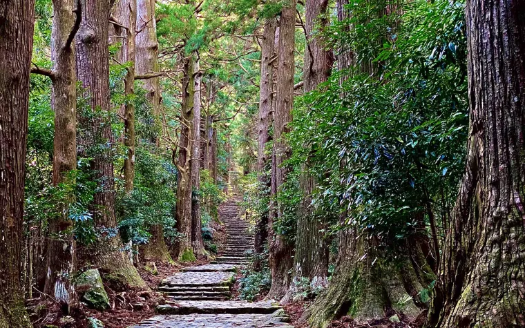 The atmospheric entrance to the Kumano Kodo pathway. We hiked the ancient Kumano trails in between playing golf in Wakayama, Japan.