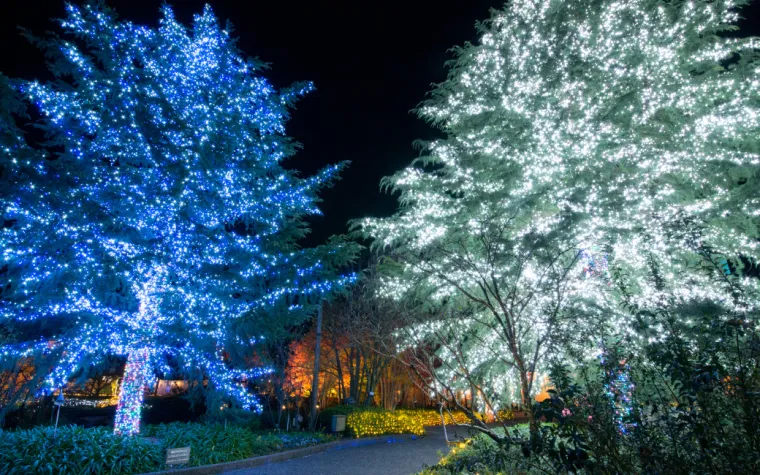 Trees lit up at Nabana no Sato in Mie prefecture, Japan