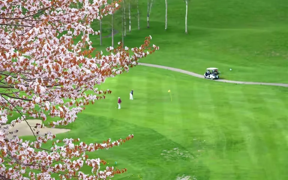 Hilton Niseko Village Blossoms