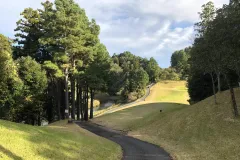 BWC_6990