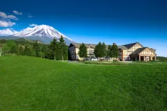 Fuji classic